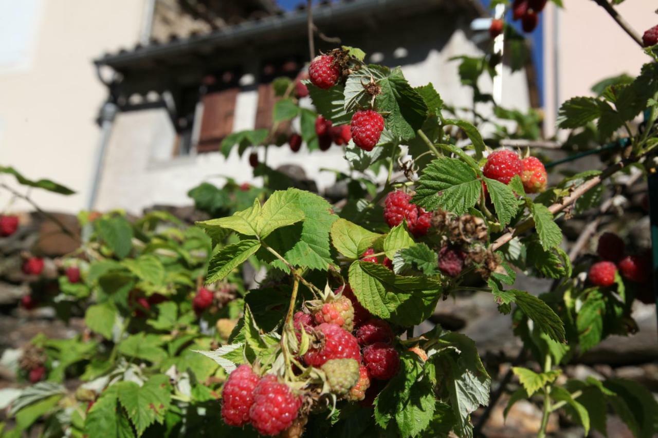 La Caladette Villa Les Plantiers Екстериор снимка